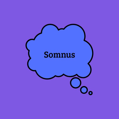 Somnus Project Image
